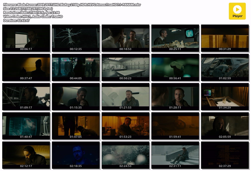 银翼杀手2049 / 银翼杀手2.Blade.Runner.2049.2017.UHD.BluRay.2160p.HDR.HEVC.Atmos.TrueHD7.1-PANAM 72.24GB-2.jpg