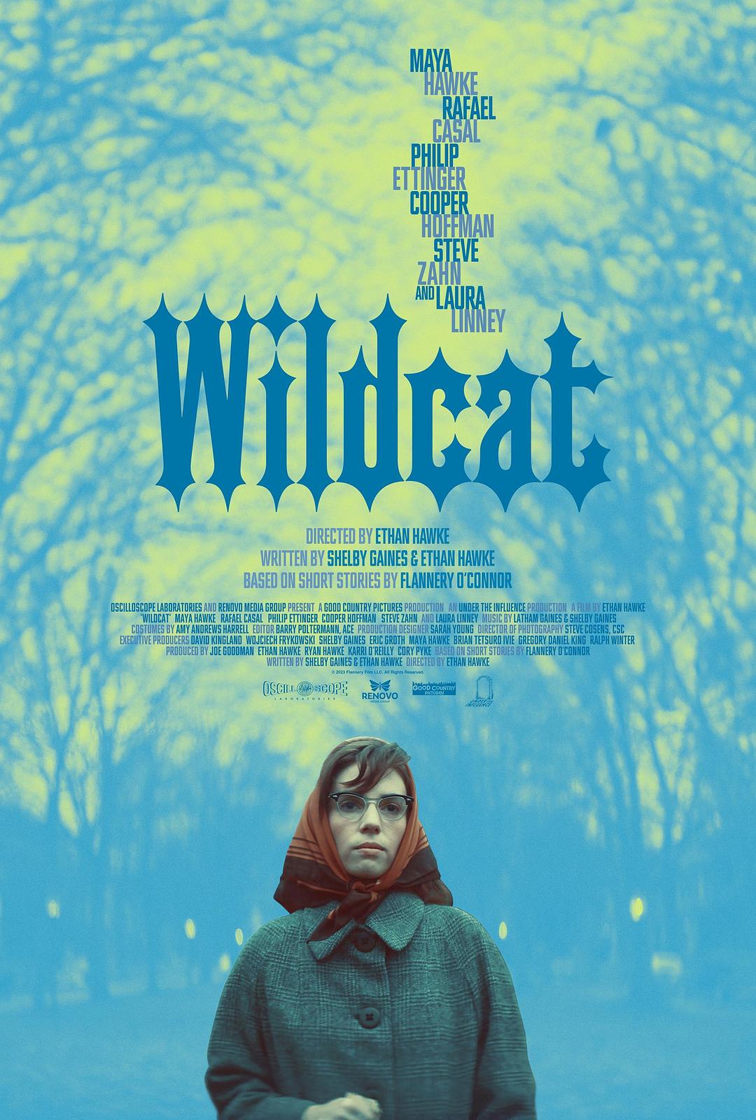 野猫.Wildcat.2024.1080p.AMZN.WEB-DL.DDP2.0.H.264-BYNDR 4.44GB-1.jpg