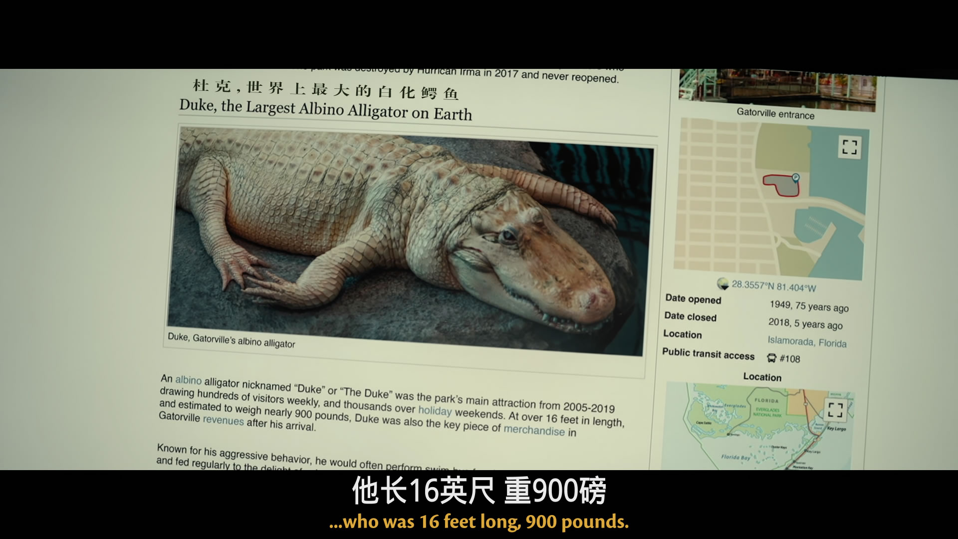 绝地战警：生死与共/重案梦幻重组再重组(港)/绝地战警4/两个鬼佬4 [杜比视界 简繁英 双语4特效字幕].Bad.Boys.Ride.or.Die.2024.2160p.WEB-DL.DDP5.1.DV.HDR.H.265-TAG 21.51GB-18.jpg