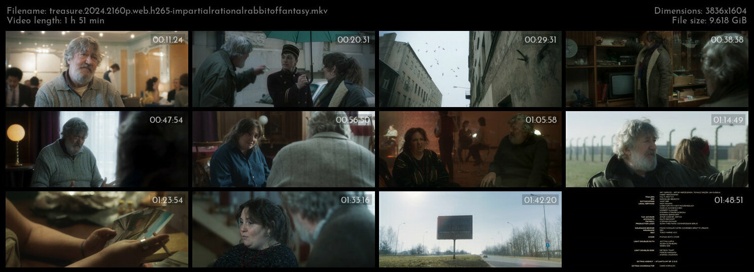 宝藏.Treasure.2024.2160p.WEB.H265-ImpartialRationalRabbitOfFantasy 9.72GB-2.jpg