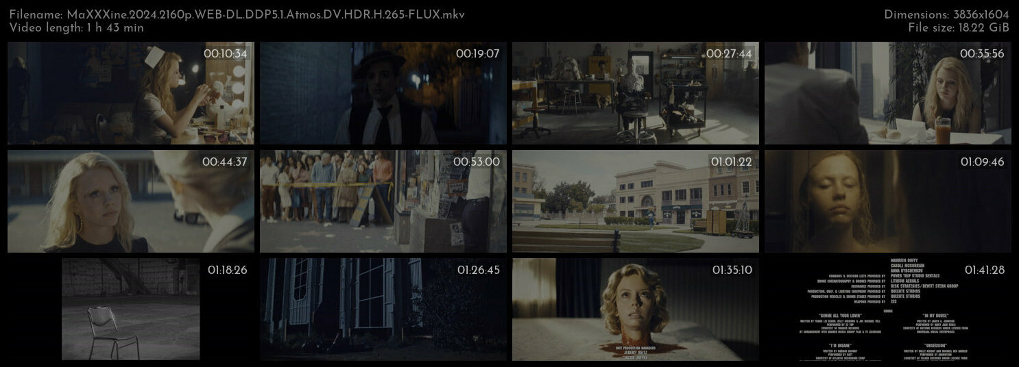 玛克辛 / 麦克西恩.MaXXXine.2024.2160p.WEB-DL.DDP5.1.Atmos.DV.HDR.H.265-FLUX 18.22GB-2.jpg