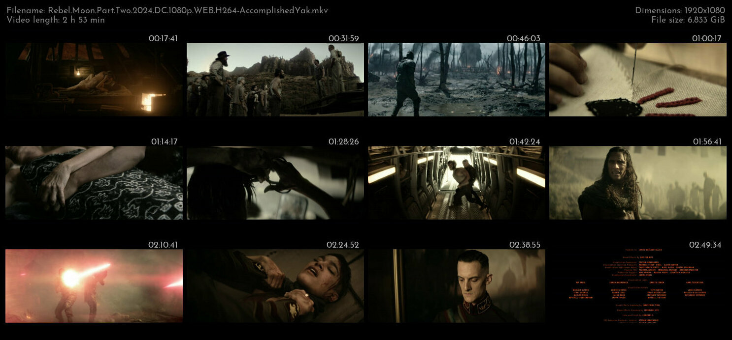 月球叛军2：烙印之人 / 月球叛军2.Rebel.Moon.Part.Two.2024.DC.1080p.WEB.H264-AccomplishedYak 6.83GB-2.jpg