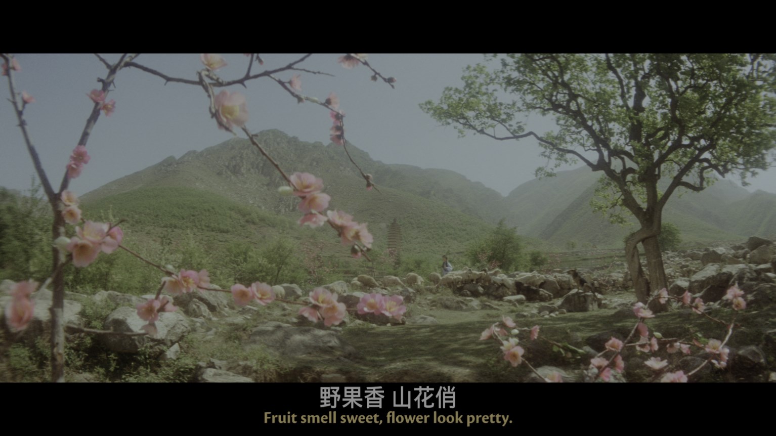 少林寺 [国版UHD原盘国语中字 DIY简繁/双语字幕].The.Shaolin.Temple.1982.2160p.UHD.CHN.Blu-ray.DoVi.HDR10.HEVC.DTS-HD.MA.5.1-TAG 82.45GB-4.jpg