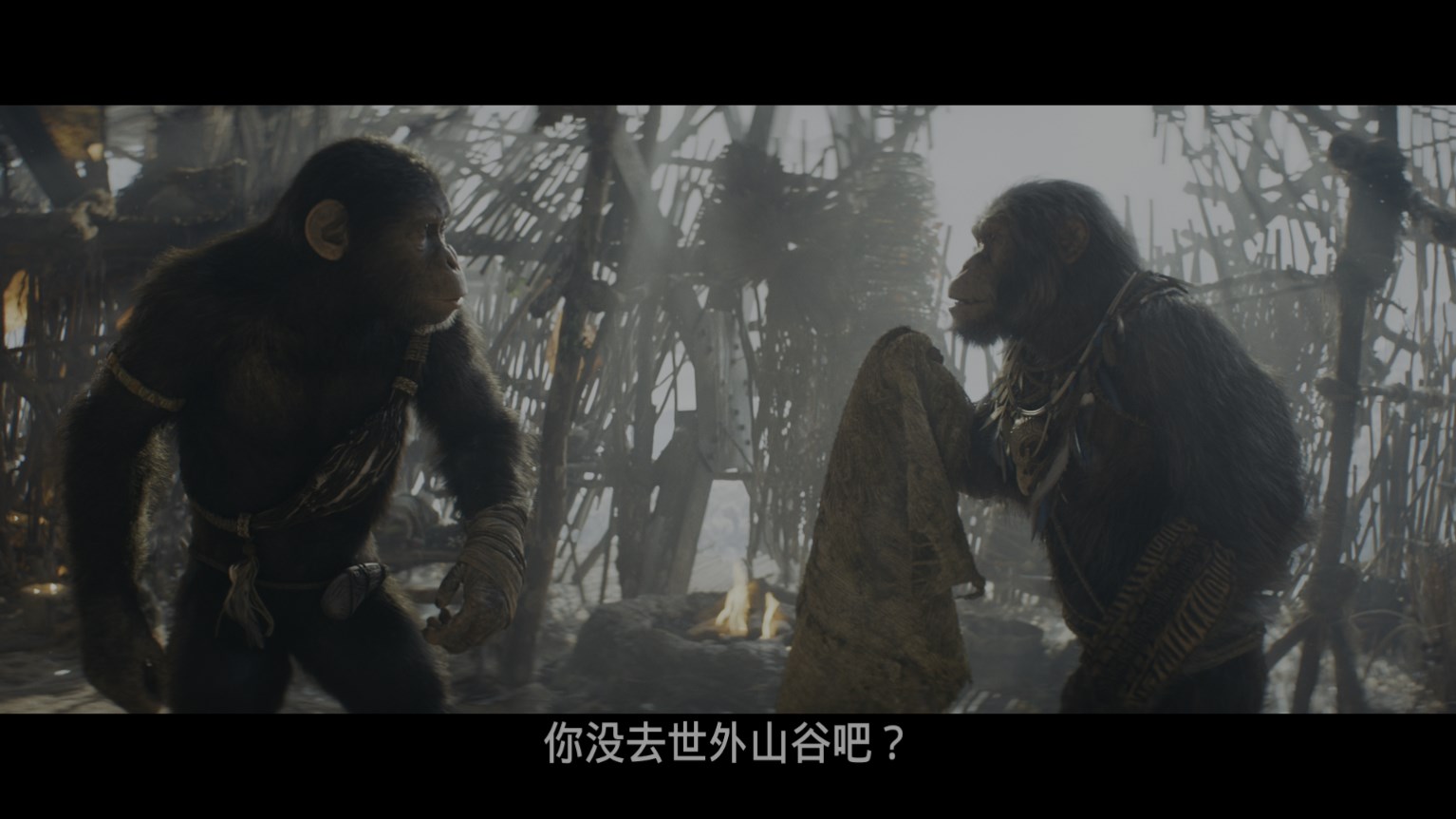 猩球崛起：新世界 / 猿人争霸战：猩凶帝国(港) / 猩球崛起：王国诞生(台) [UHD原盘 DIY国语 国配字幕/官译简繁粤/双语字幕].Kingdom.of.the.Planet.of.the.Apes.2024.2160p.UHD.Blu-ray.HDR10.HEVC.TrueHD7.1-TAG 56.40GB-4.jpg