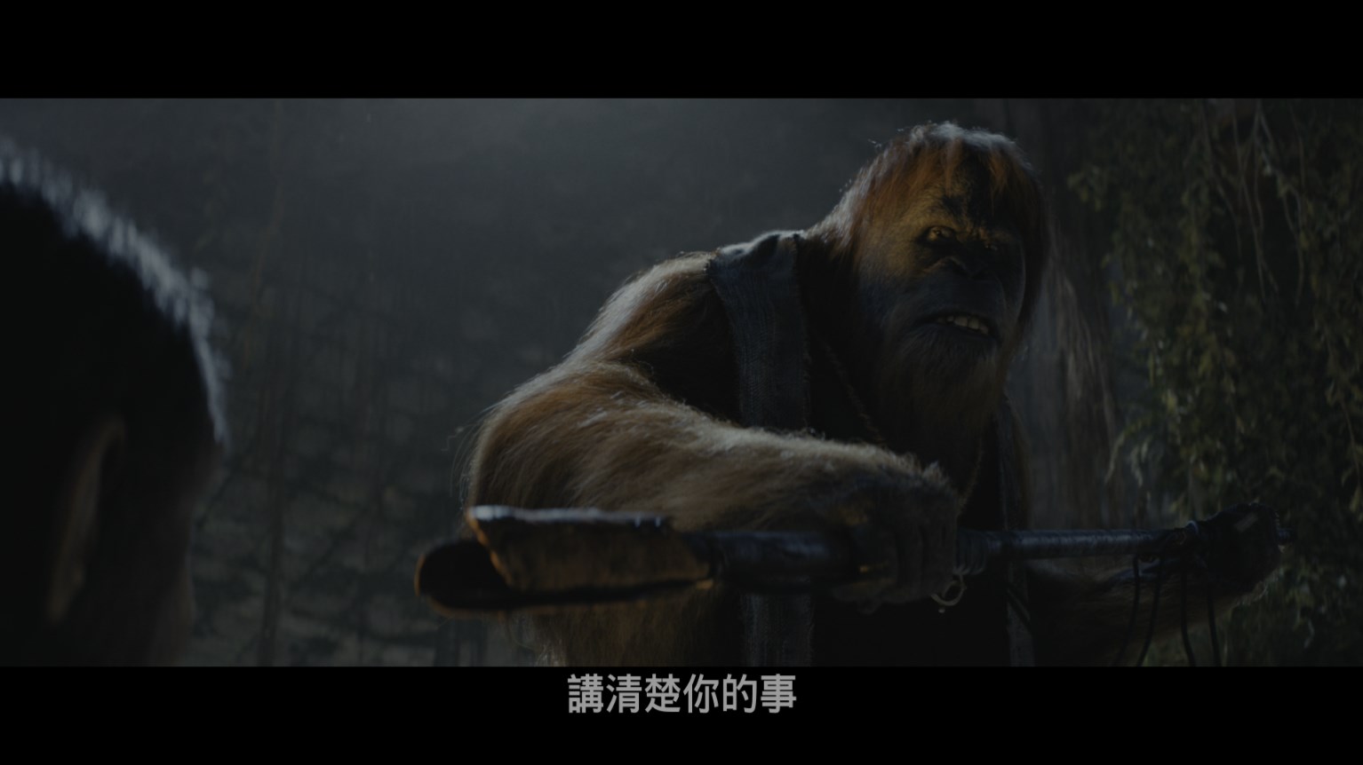 猩球崛起：新世界 / 猿人争霸战：猩凶帝国(港) / 猩球崛起：王国诞生(台) [UHD原盘 DIY国语 国配字幕/官译简繁粤/双语字幕].Kingdom.of.the.Planet.of.the.Apes.2024.2160p.UHD.Blu-ray.HDR10.HEVC.TrueHD7.1-TAG 56.40GB-5.jpg
