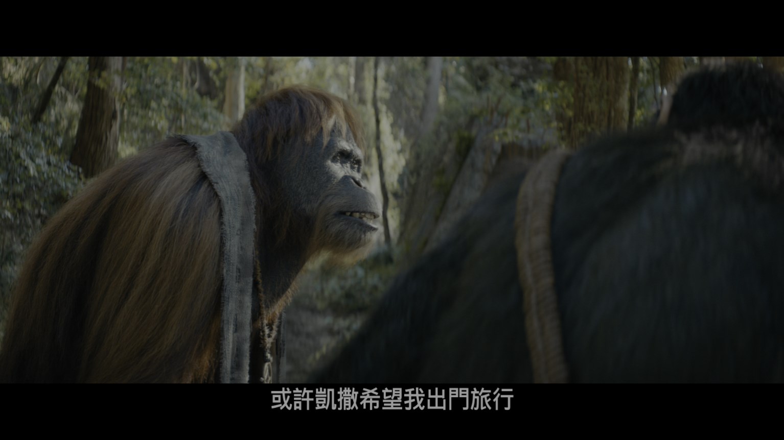 猩球崛起：新世界 / 猿人争霸战：猩凶帝国(港) / 猩球崛起：王国诞生(台) [UHD原盘 DIY国语 国配字幕/官译简繁粤/双语字幕].Kingdom.of.the.Planet.of.the.Apes.2024.2160p.UHD.Blu-ray.HDR10.HEVC.TrueHD7.1-TAG 56.40GB-6.jpg