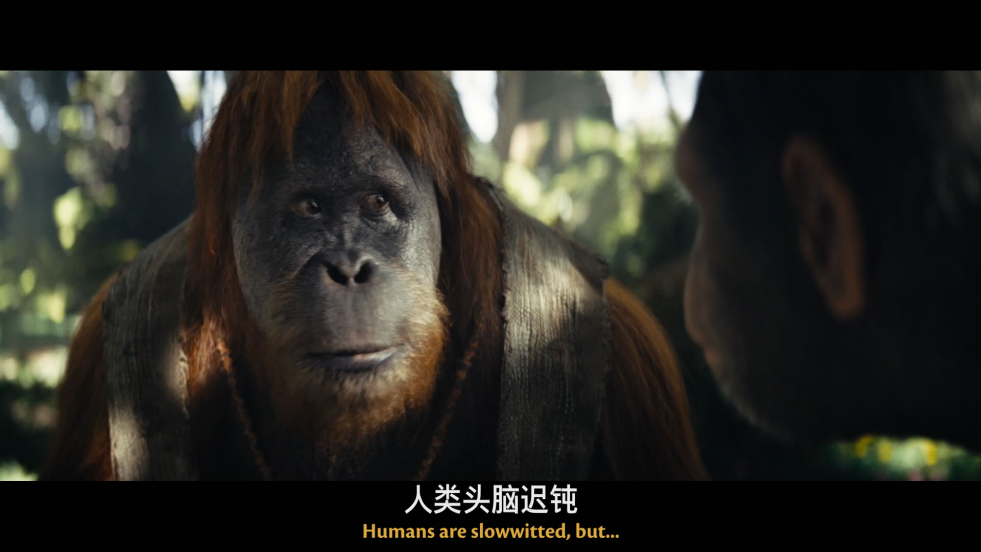 猩球崛起：新世界/猩球崛起：王国诞生(台)/猩球崛起4/猿人争霸战：猩凶帝国(港) [UHD原盘 DIY国语 简繁英 双语/国配特效].Kingdom.of.the.Planet.of.the.Apes.2024.UHD.BluRay.2160p.HEVC.Atmos.TrueHD7.1-TAG 56.34GB-10.jpg