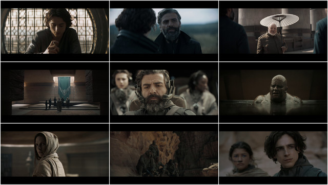 沙丘 / 沙丘瀚战(港).Dune.2021.Eng.Fre.Ger.Ita.Por.Spa.Cze.Hun.Pol.Hin.Jpn.1080p.BluRay.Remux.AVC.Atmos-SGF 34.38GB-2.jpg