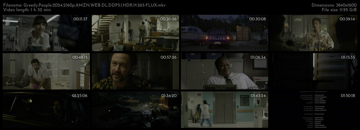 贪婪的人.Greedy.People.2024.2160p.AMZN.WEB-DL.DDP5.1.HDR.H.265-FLUX 11.95GB-2.jpg