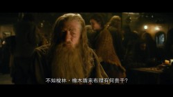 霍比特人2：史矛革之战/哈比人：荒谷魔龙(港)/哈比人：荒谷恶龙(台) [加长版 DIY简繁特效/双语特效字幕].The.Hobbit.The.Desolation.of.Smaug.2013.Extended.1080p.BluRay.AVC.DTS-HD.MA.7.1-TAG 40.29GB-2.jpg