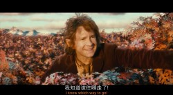 霍比特人2：史矛革之战/哈比人：荒谷魔龙(港)/哈比人：荒谷恶龙(台) [加长版 DIY简繁特效/双语特效字幕].The.Hobbit.The.Desolation.of.Smaug.2013.Extended.1080p.BluRay.AVC.DTS-HD.MA.7.1-TAG 40.29GB-4.jpg