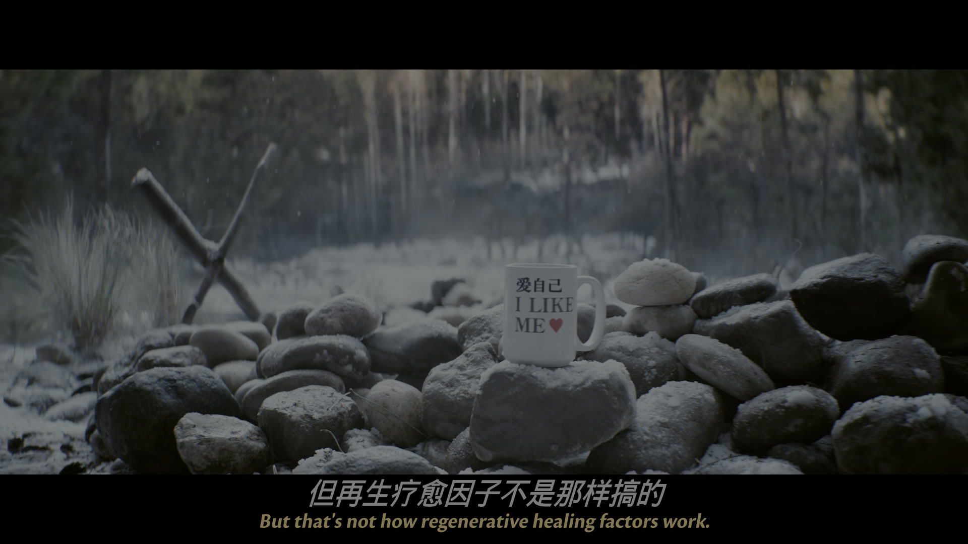 死侍与金刚狼/死侍与狼人(港)/死侍与金钢狼(台)  [杜比视界 简繁英 双语/粤语4特效字幕].Deadpool.and.Wolverine.2024.2160p.WEB-DL.DDP5.1.Atmos.DV.HDR.H.265-TAG 22.66GB-14.jpg