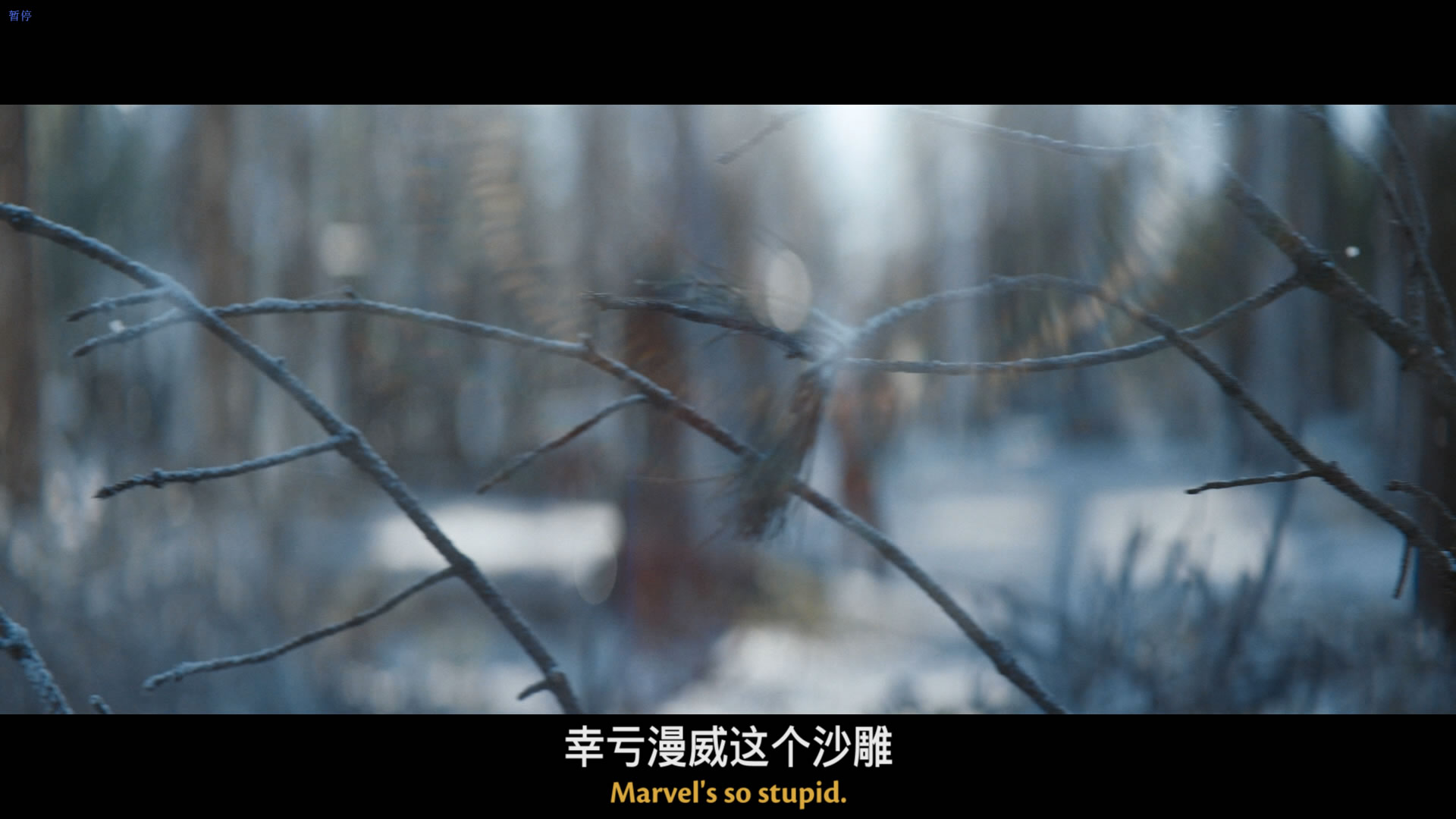 死侍与金刚狼/死侍与狼人(港)/死侍与金钢狼(台)  [DIY 简繁英 双语/粤语4特效字幕].Deadpool.and.Wolverine.2024.1080p.Blu-ray.AVC.DTS-HD.MA7.1-TAG 47.34GB-14.jpg
