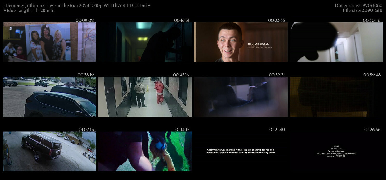 越狱实录：法外鸳鸯.Jailbreak.Love.on.the.Run.2024.1080p.WEB.h264-EDITH 3.43GB-2.jpg