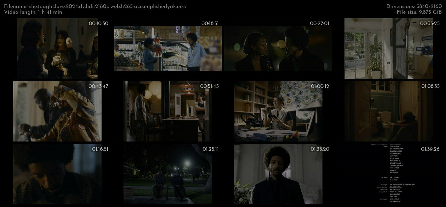 爱情专家.She.Taught.Love.2024.DV.HDR.2160p.WEB.H265-AccomplishedYak 9.87GB-2.jpg