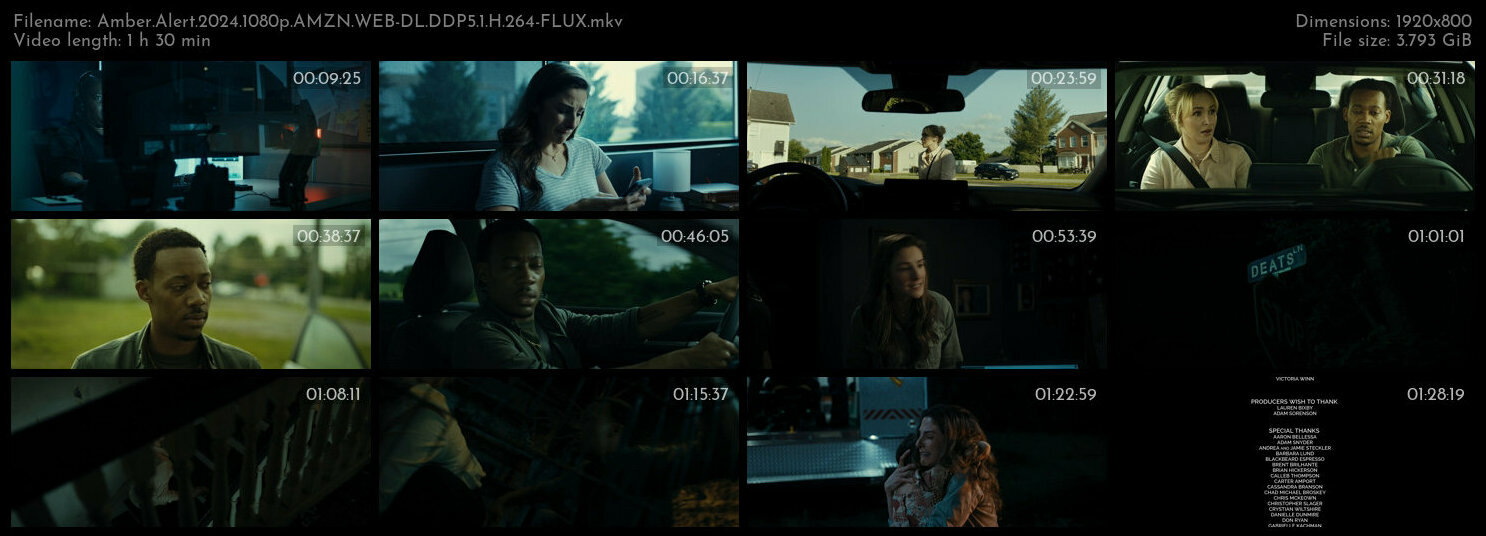 安珀警报 / 琥珀警报.Amber.Alert.2024.1080p.AMZN.WEB-DL.DDP5.1.H.264-FLUX 3.79GB-2.jpg