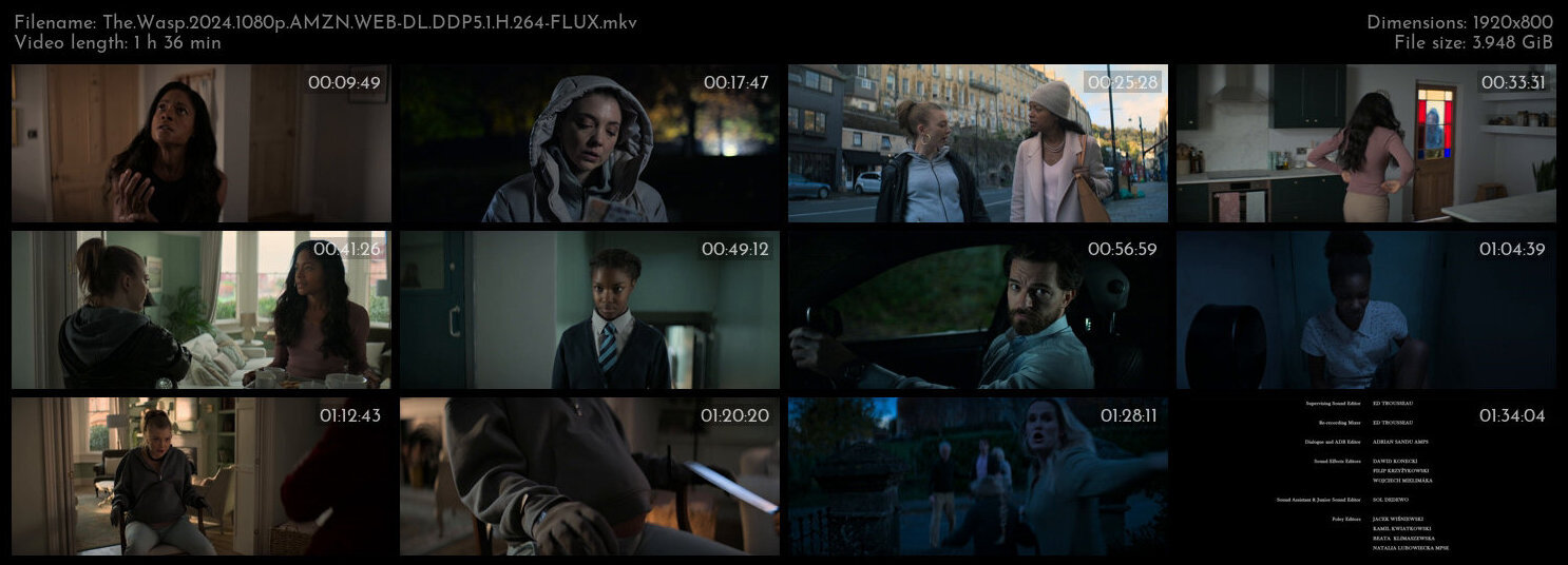 黄蜂蜇 / 黄蜂.The.Wasp.2024.1080p.AMZN.WEB-DL.DDP5.1.H.264-FLUX 3.95GB-2.jpg