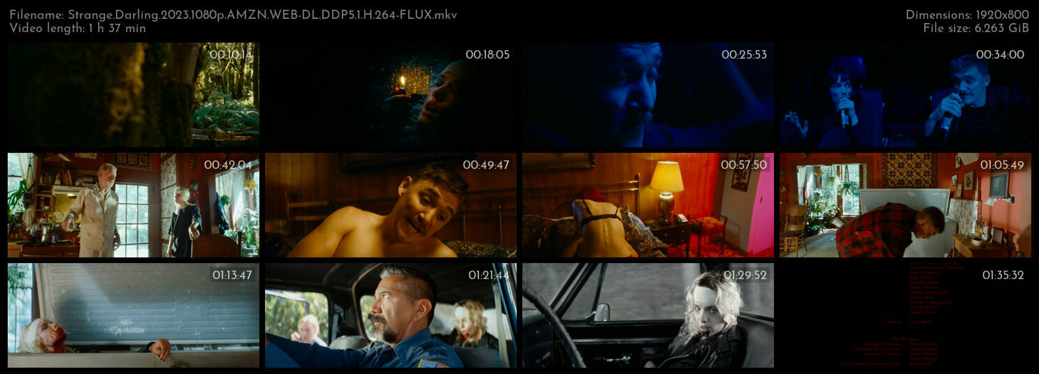 怪栗情人 / 怪亲.Strange.Darling.2023.1080p.AMZN.WEB-DL.DDP5.1.H.264-FLUX 6.26GB-2.jpg