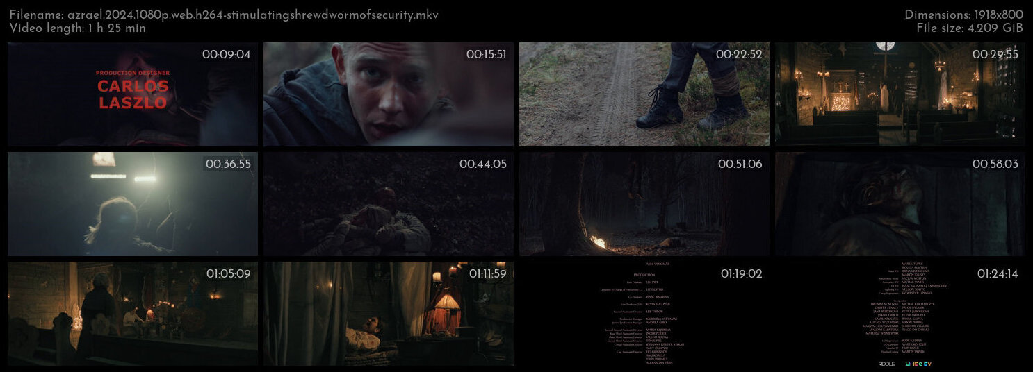 亚兹拉尔 / 死神 / 死亡天使.Azrael.2024.1080p.WEB.H264-StimulatingShrewdWormOfSecurity 4.28GB-2.jpg