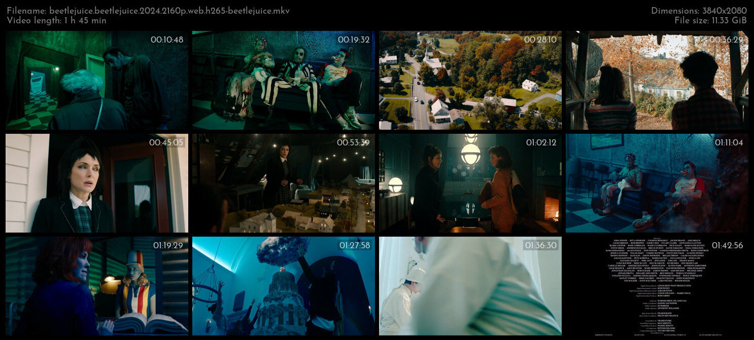 怪奇大法师 / 哗鬼家族Beetlejuice‎(港) / 阴间大法师Beetlejuice(台) / 阴间大法师2 / 甲壳虫汁2.Beetlejuice.Beetlejuice.2024.2160p.WEB.H265-BEETLEJUICE 11.45GB-2.jpg