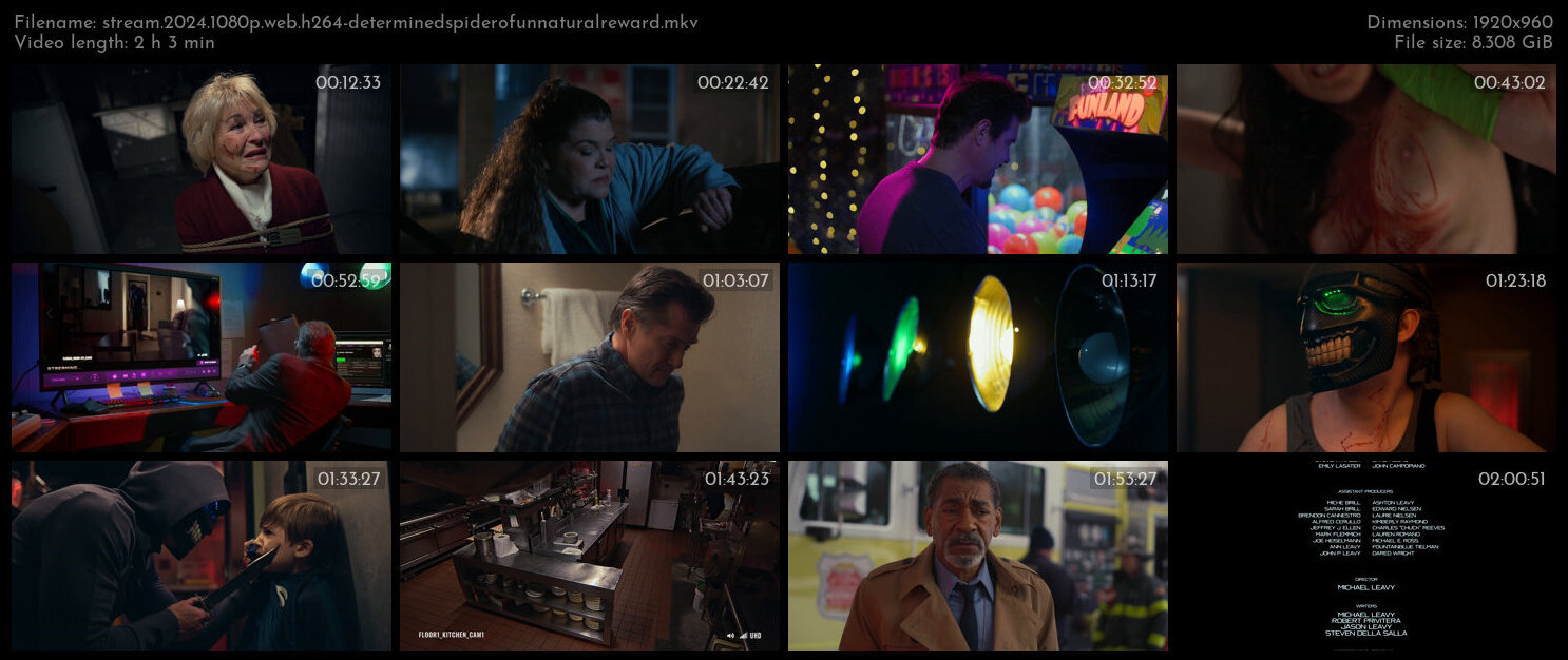 夺命假期 / 夺命流输.Stream.2024.1080p.WEB.H264-DeterminedSpiderOfUnnaturalReward 8.39GB-2.jpg