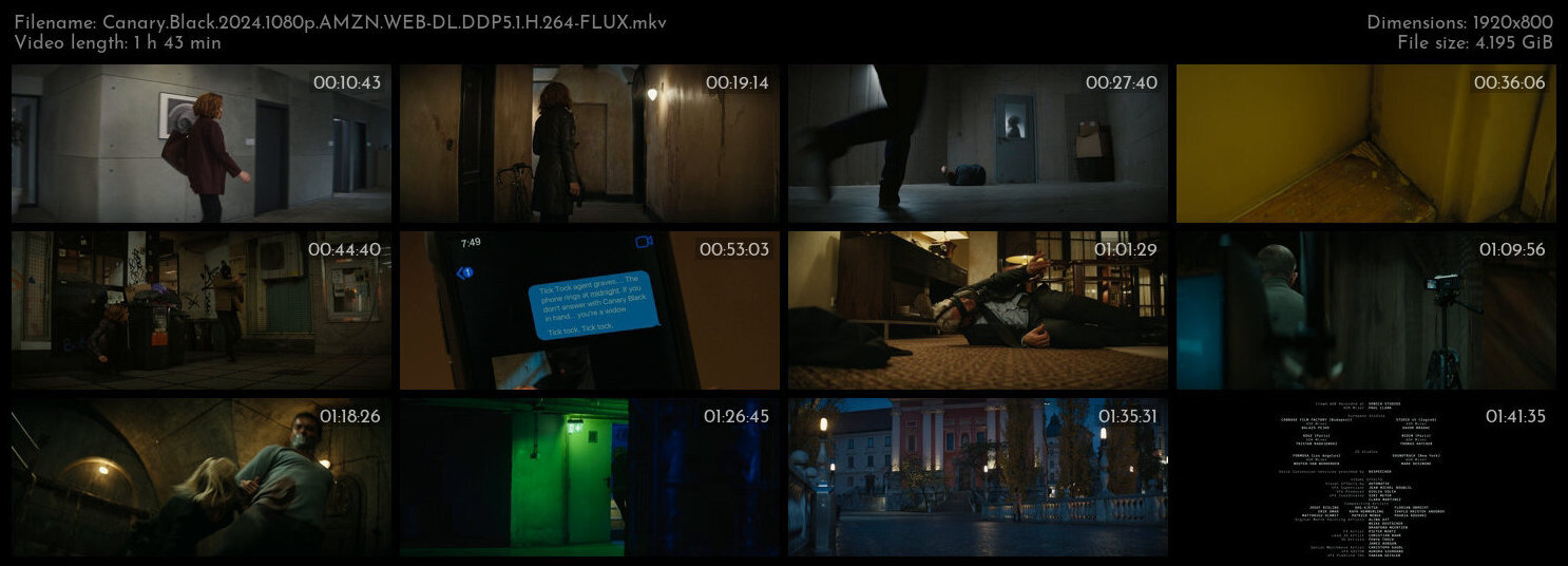 黑雀特工.Canary.Black.2024.1080p.AMZN.WEB-DL.DDP5.1.H.264-FLUX 4.19GB-2.jpg