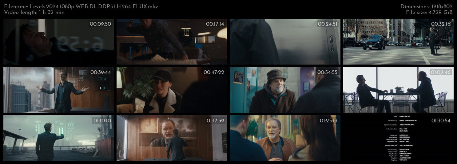 升级 / 升级换女友.Levels.2024.1080p.WEB-DL.DDP5.1.H.264-FLUX 4.73gb-2.jpg
