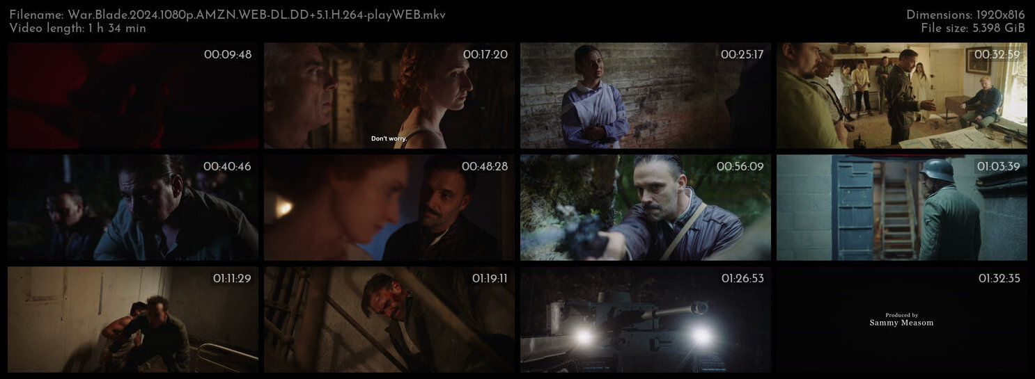 战争之翼.War.Blade.2024.1080p.AMZN.WEB-DL.DD+5.1.H.264-playWEB 5.40GB-2.jpg
