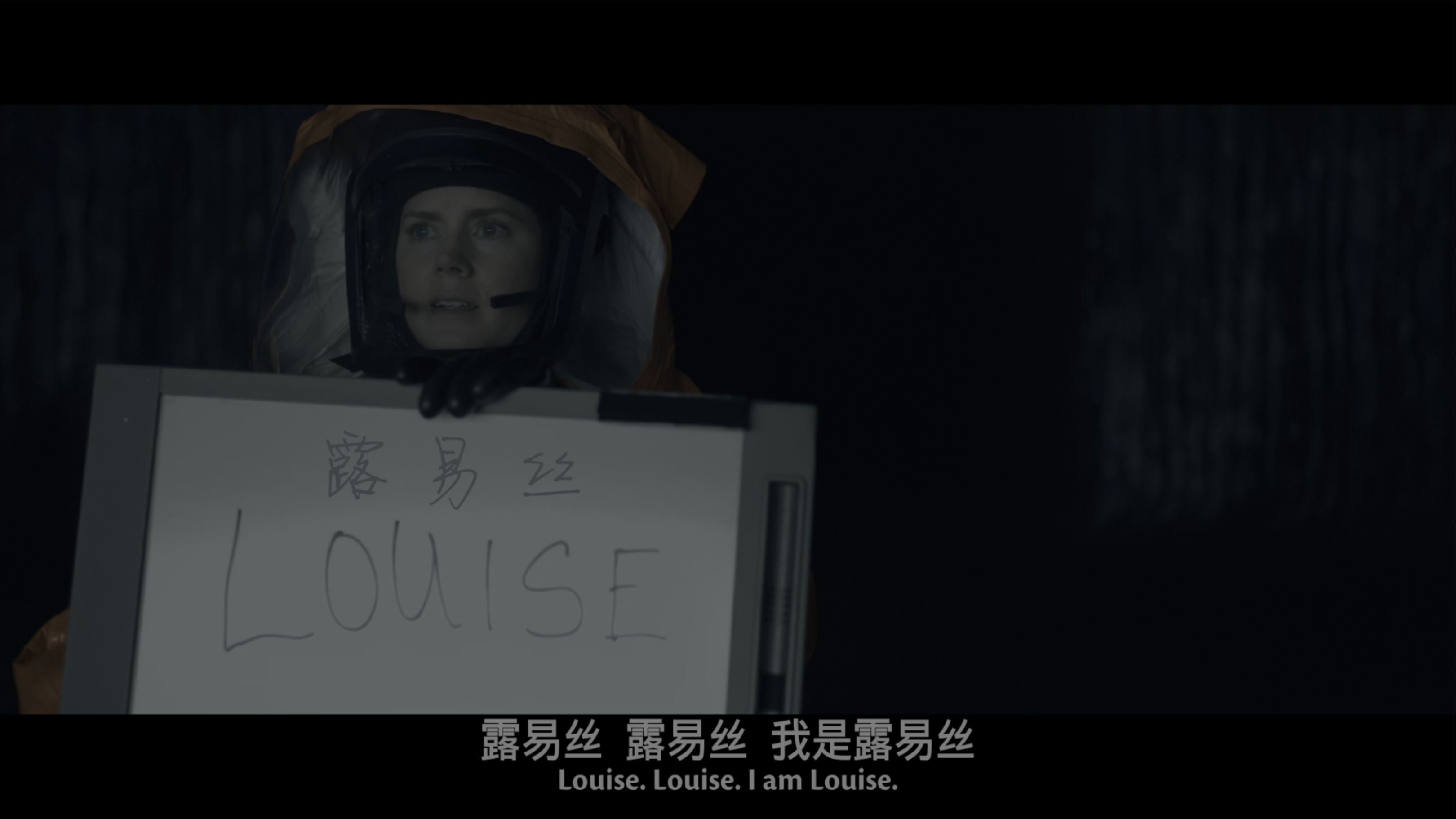 降临/Story of Your Life/你一生的故事/天煞异降(港)/异星入境(台)/抵达/抵达者 [美版UHD原盘DIY简、繁、双语特效字幕].Arrival.2016.UHD.Blu-ray.2160p.HDR10.HEVC.DTS-HD.MA.7.1-TAG 49.51GB-8.png