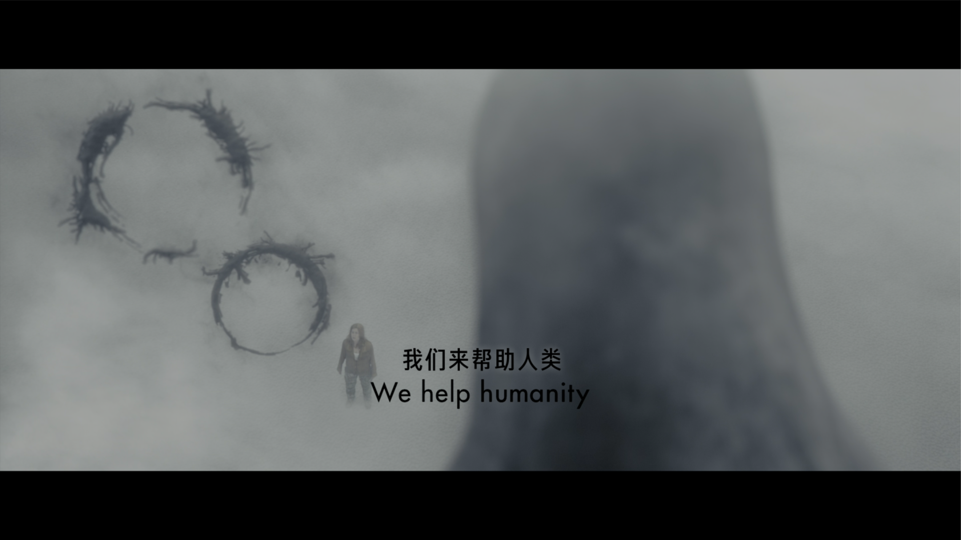 降临/Story of Your Life/你一生的故事/天煞异降(港)/异星入境(台)/抵达/抵达者 [美版UHD原盘DIY简、繁、双语特效字幕].Arrival.2016.UHD.Blu-ray.2160p.HDR10.HEVC.DTS-HD.MA.7.1-TAG 49.51GB-15.png
