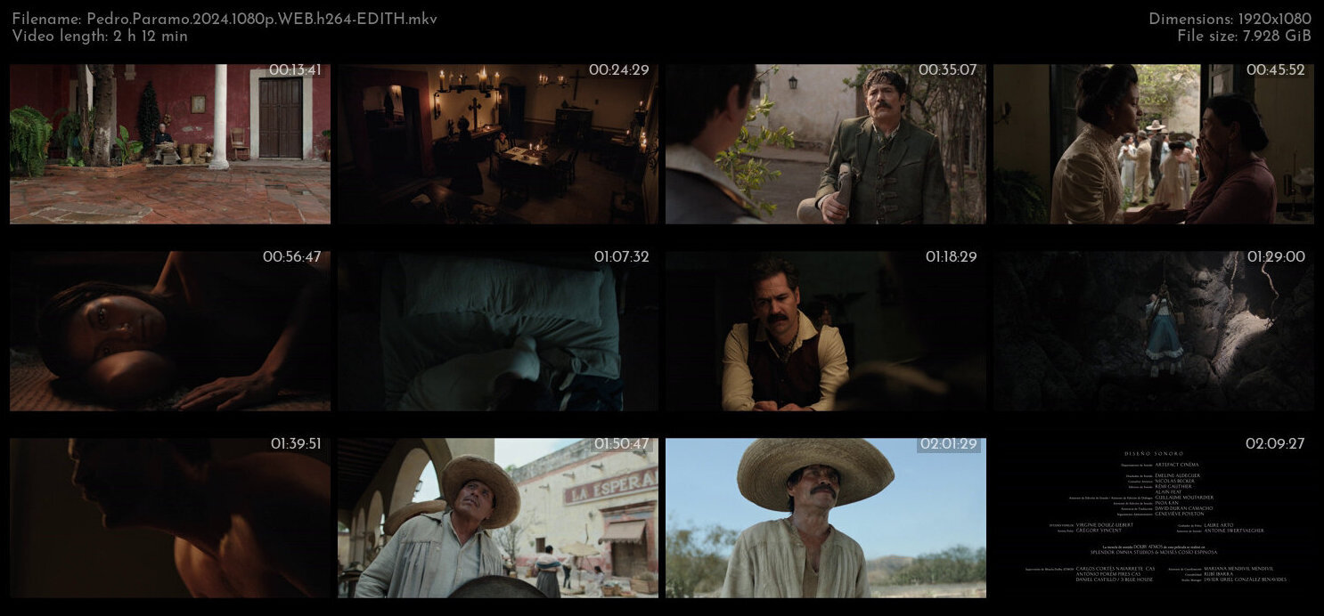佩德罗·巴拉莫.Pedro.Paramo.2024.1080p.WEB.h264-EDITH 8.05GB-2.jpg