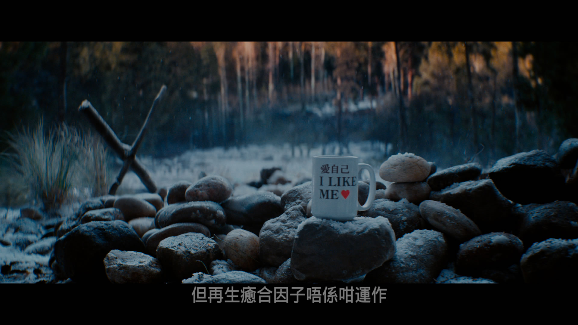 侍与金刚狼/死侍与狼人(港)/死侍与金钢狼(台) [V2 杜比视界 DIY 次世代国语 简繁英 /双语/国配4特效字幕 / 歌词特效 BDJ菜单修改].Deadpool.&.Wolverine.2024.V2.UHD.BluRay.2160p.HEVC.Atmos.TrueHD7.1-TAG 64.06GB-19.jpg