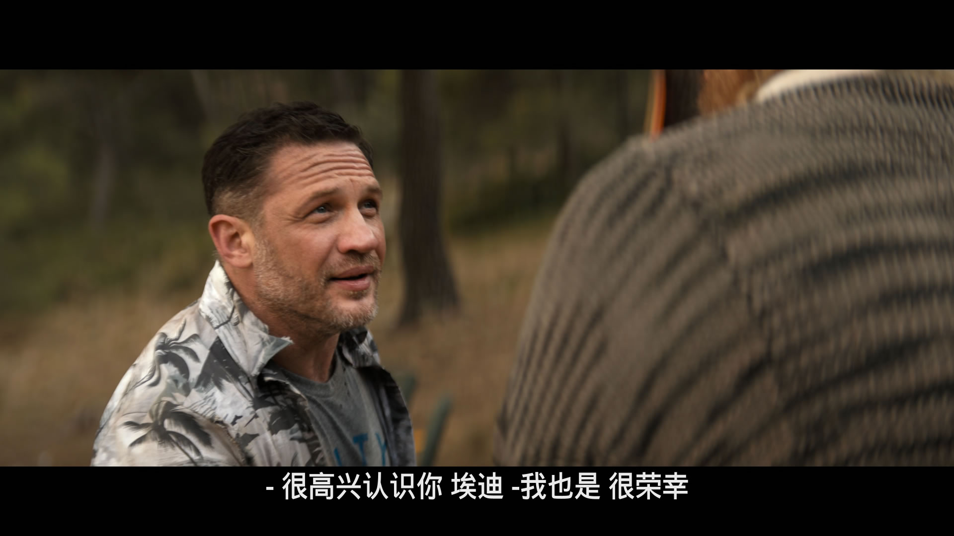 毒液：最后一舞/毒魔：终极一舞(港)/猛毒最终章：Last Dance(台)/毒液3 [杜比视界 国配双语特效/官译双语特效/歌词特效].Venom.The.Last.Dance.2024.2160p.MA.WEB-DL.DDP5.1.Atmos.DV.HDR.H.265-TAG 19.35GB-22.jpg