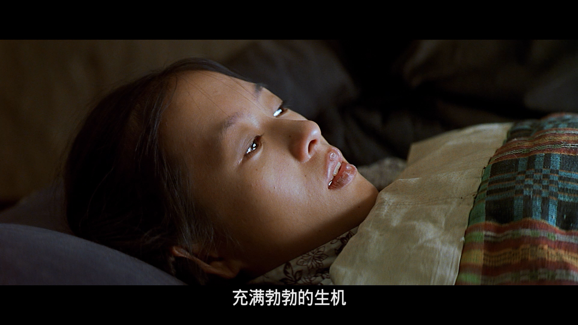 我的父亲母亲 [DIY 国语 简繁中字].The.Road.Home.1999.Blu-ray.1080p.AVC.DTS-HD.MA.5.1-TAG 25.65GB-3.png