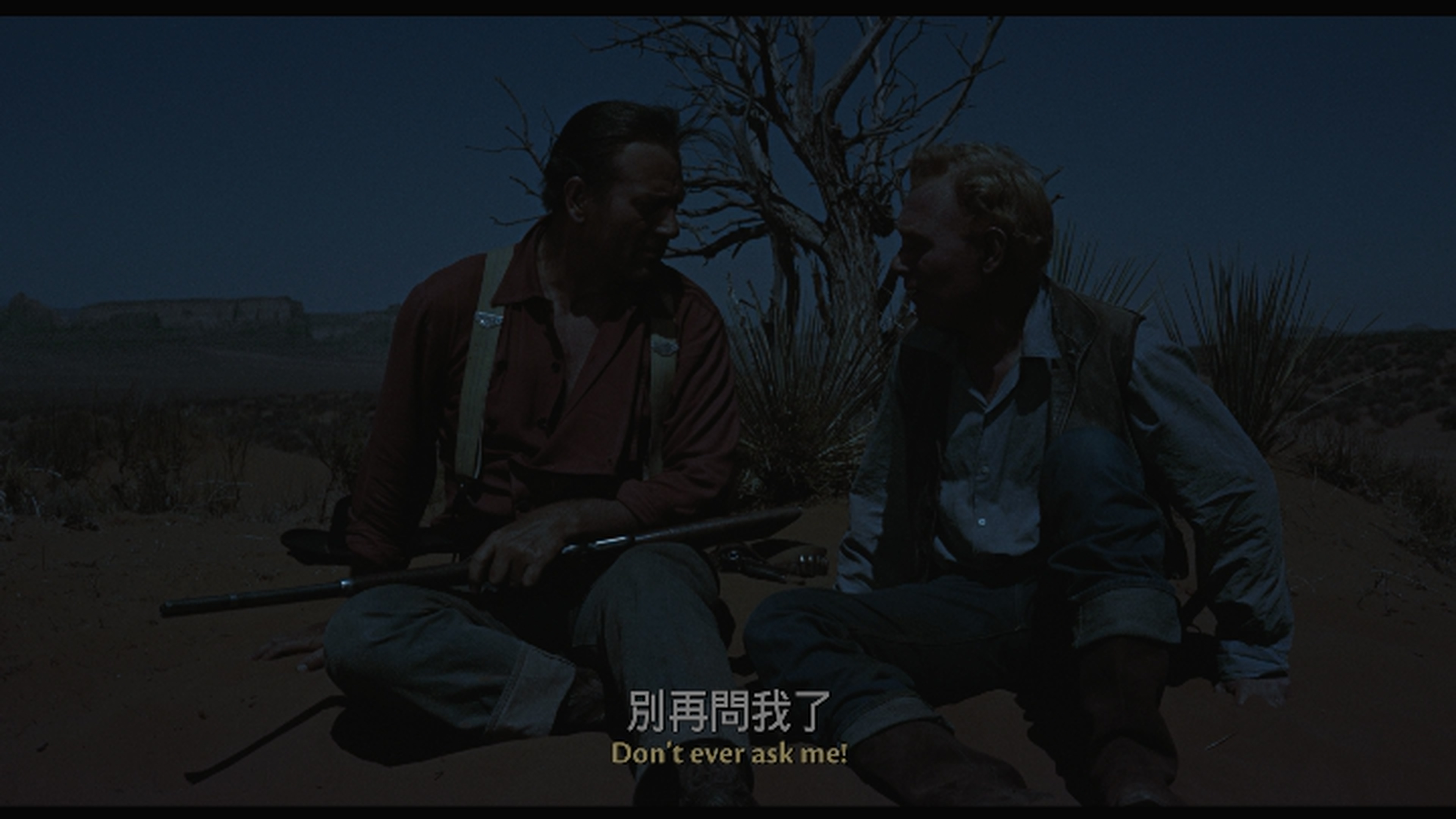 搜索者 / 日落狂沙 [DIY简繁/双语字幕].The.Searchers.1956.USA.2160p.UHD.Blu-ray.DV.HDR.HEVC.DTS-HD.MA.2.0-TAG 83.60GB-6.jpg