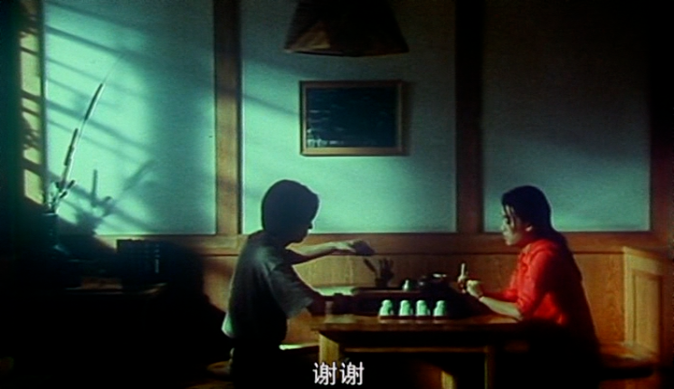 今年夏天 / 天堂上的灰尘 / 象与鱼  [国语][简中硬字幕+章节].Fish.and.Elephant.2001.DVDRip.DD.2.0.x264-TAG 2.14GB-2.png