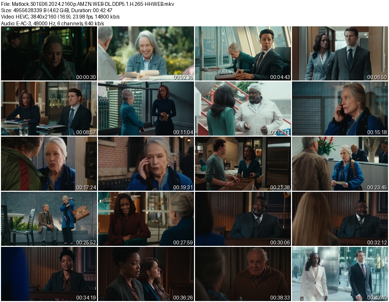 老练律师 [第1-8集].Matlock.S01.2024.2160p.AMZN.WEB-DL.DDP5.1.H.265-TAG 36.97GB-2.jpg
