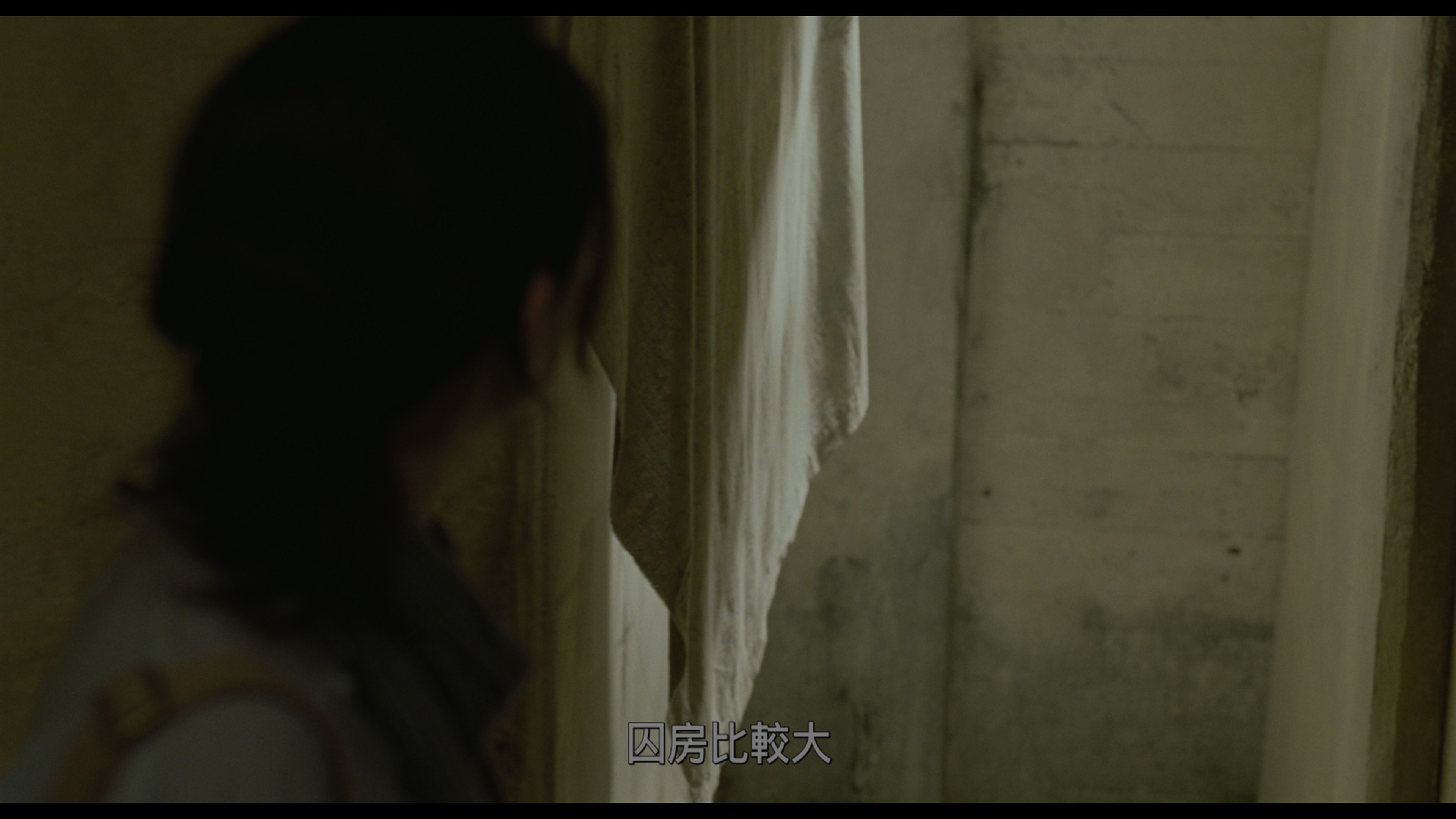 焦土之城 / 烈火焚身(台) / 母亲的告白(港) / 焦头烂额 / 烈火焚城 / 中东的希腊悲剧 / 黎巴嫩的俄狄浦斯 [DIY简繁字幕].Incendies.2010.2160p.GBR.UHD.Blu-ray.DoVi.HDR10.HEVC.DTS-HD.MA.5.1-TAG 84.18GB-4.png
