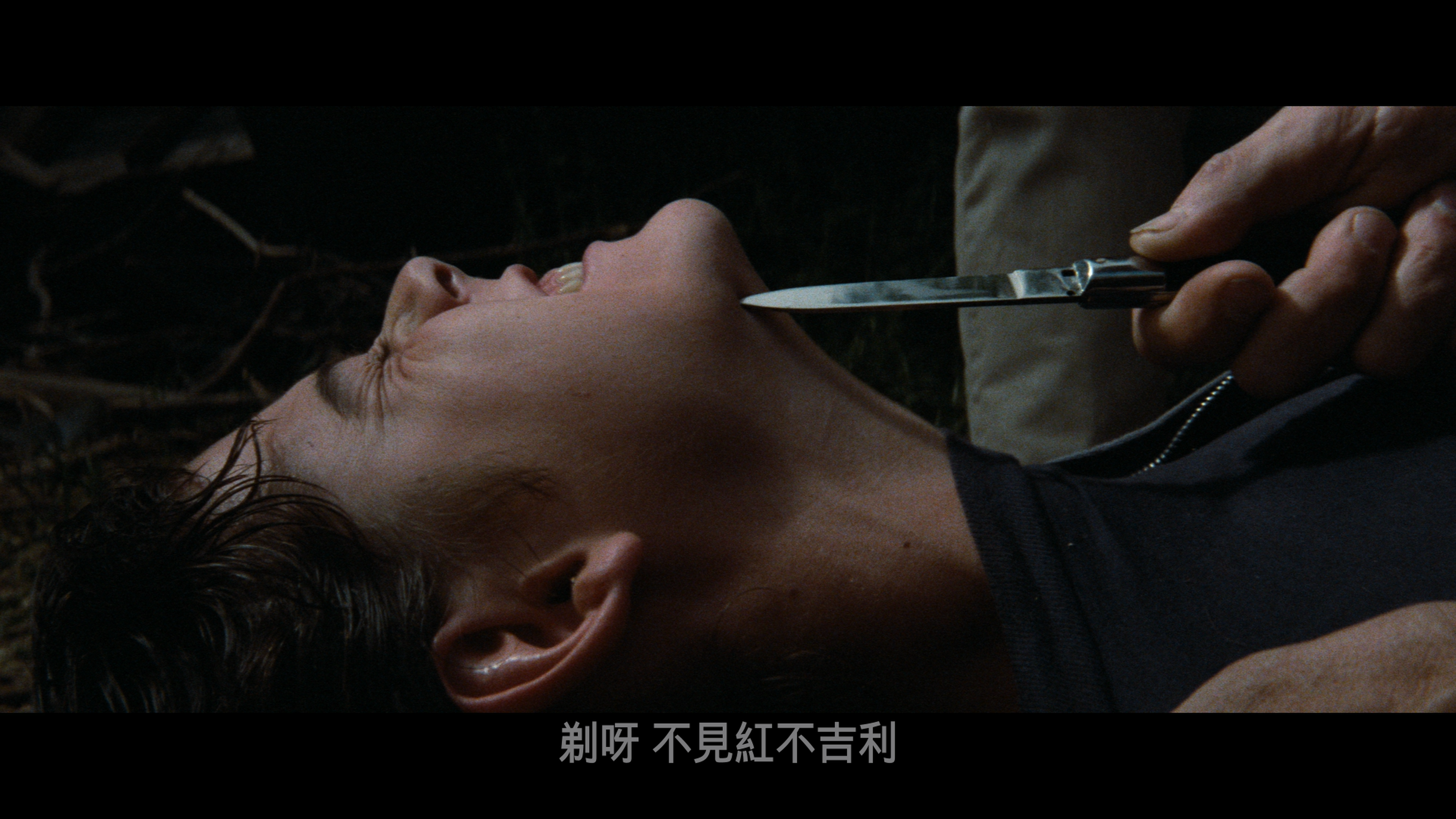 小教父/被摒弃的人/局外人/旁观者/世外顽童  [DIY简繁字幕].The.Outsiders.1983.2160p.UHD.Blu-ray.HEVC.DTS-HD.MA.5.0-TAG 89.23GB-3.png