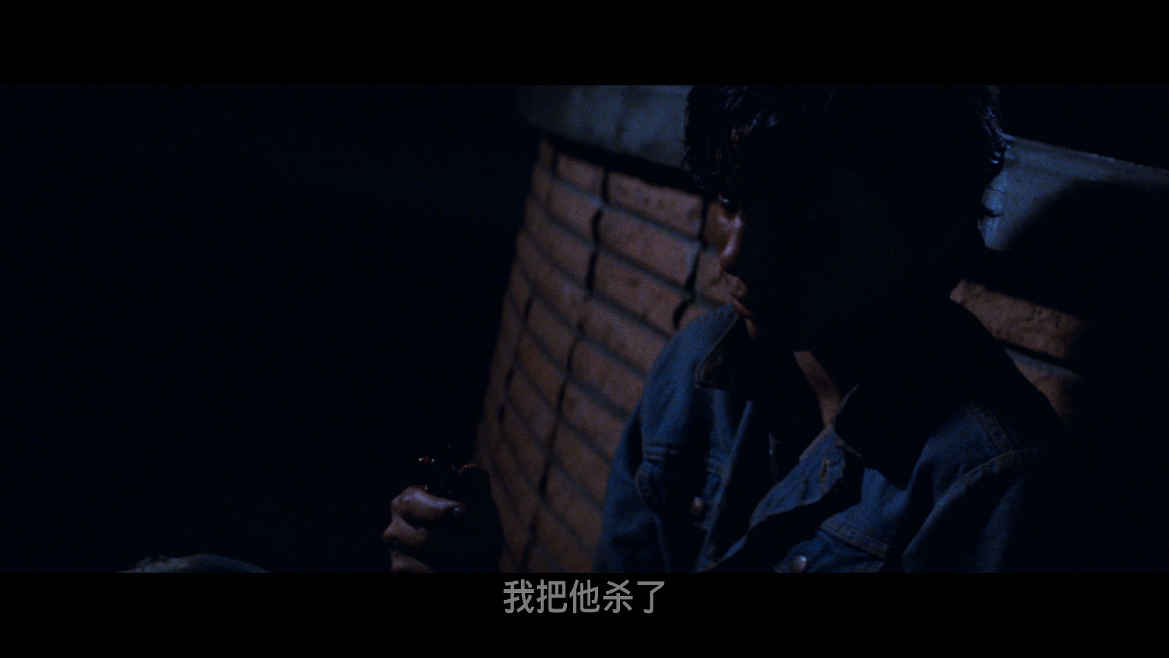 小教父/被摒弃的人/局外人/旁观者/世外顽童  [DIY简繁字幕].The.Outsiders.1983.2160p.UHD.Blu-ray.HEVC.DTS-HD.MA.5.0-TAG 89.23GB-6.png