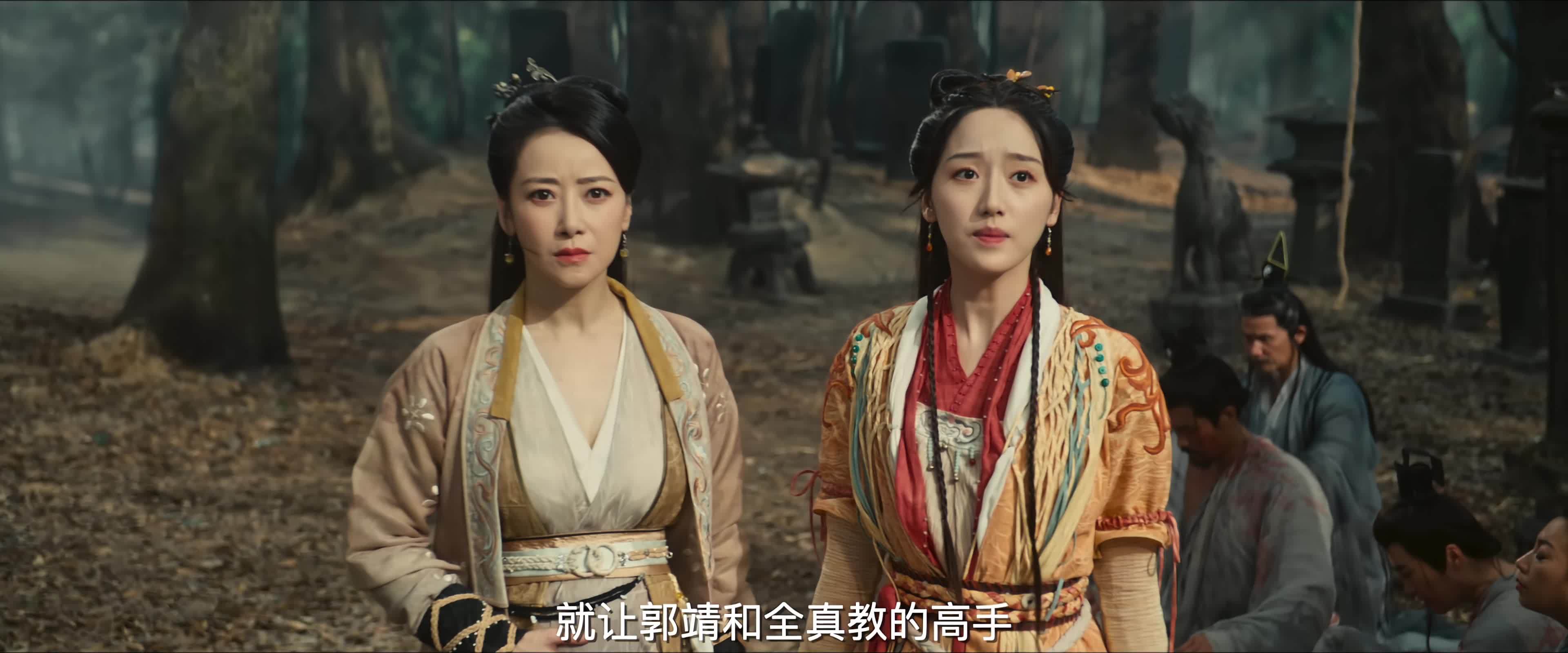 神雕侠侣：问世间 / 神雕侠侣 / 神雕侠侣：初篇 [国语中字][高码率].Condor.Hero.2025.2160p.EDR.WEB-DL.DDP2.0.H265-TAG 10.16GB-2.jpg