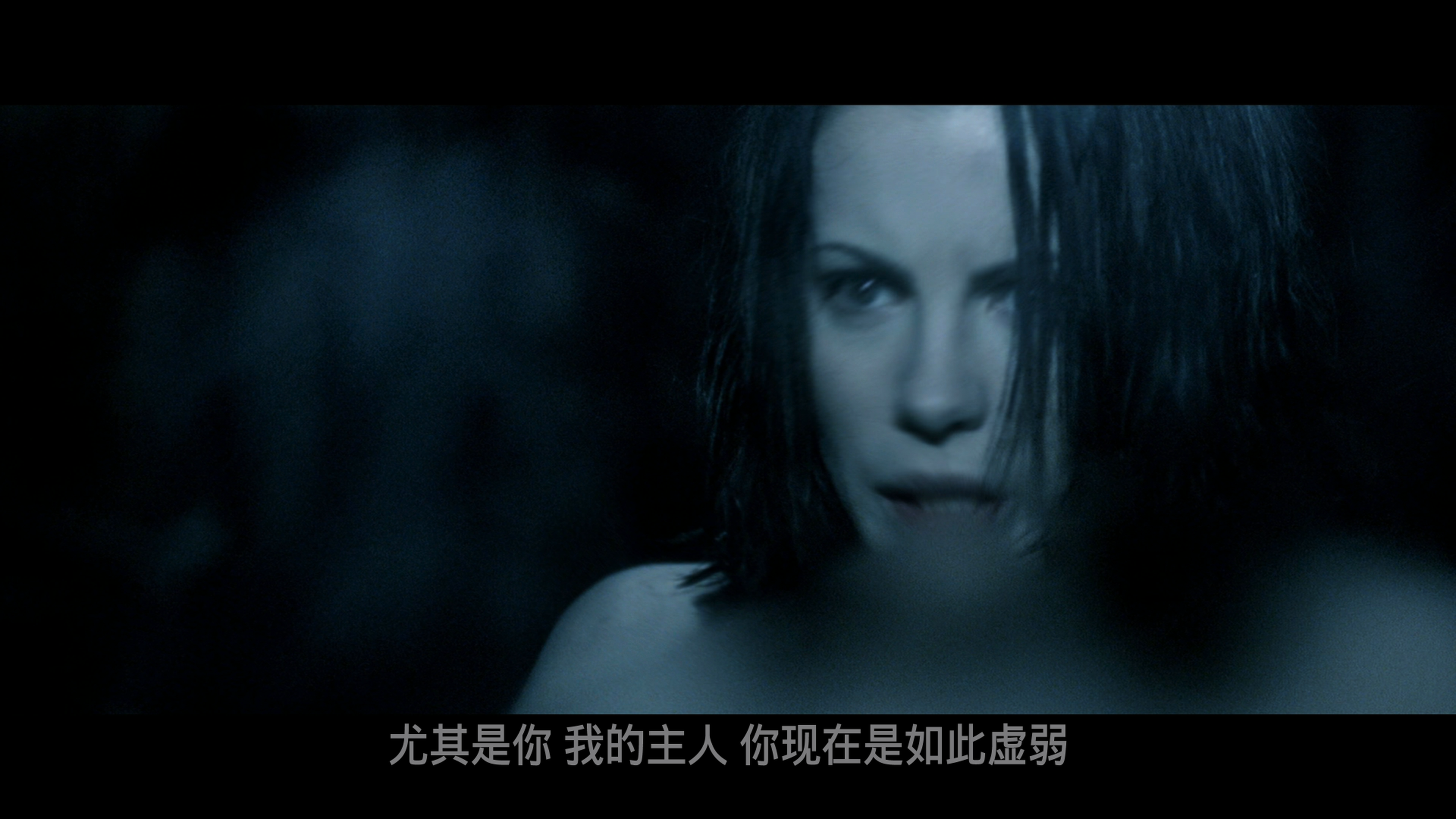 黑夜传说/决战异世界(台)/妖夜寻狼(港) 加长版 [国配|DIY简繁字幕].Underworld.2003.2in1.2160p.UHD.Blu-ray.HEVC.TrueHD.7.1.Atmos-TAG 83.74GB-6.png