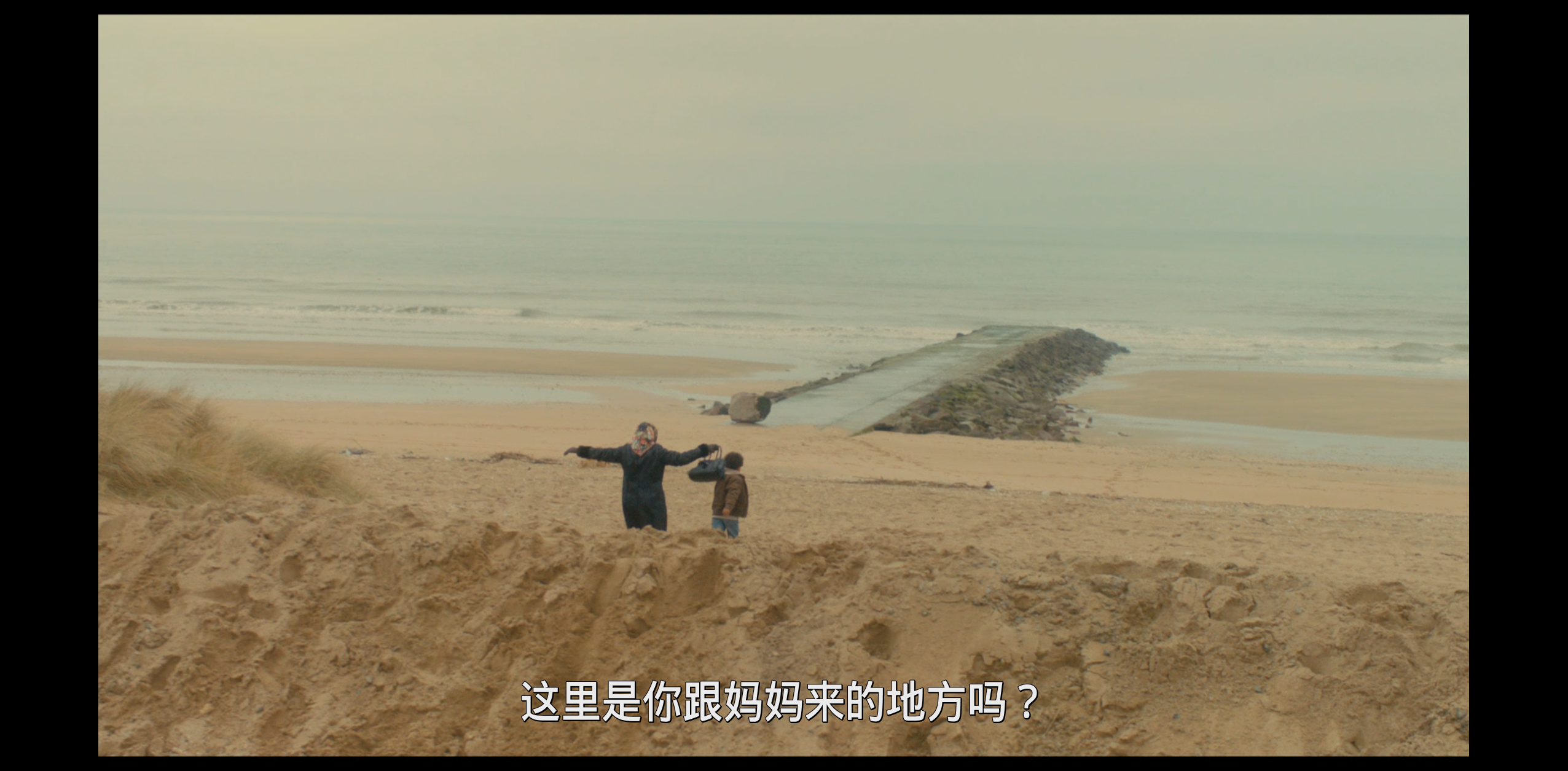 美味毒妇/波莱特 [DIY简繁+双语字幕].Paulette.2012.1080p.Blu-ray.AVC.DTS-HD.MA.5.1-TAG 22.05GB-9.png