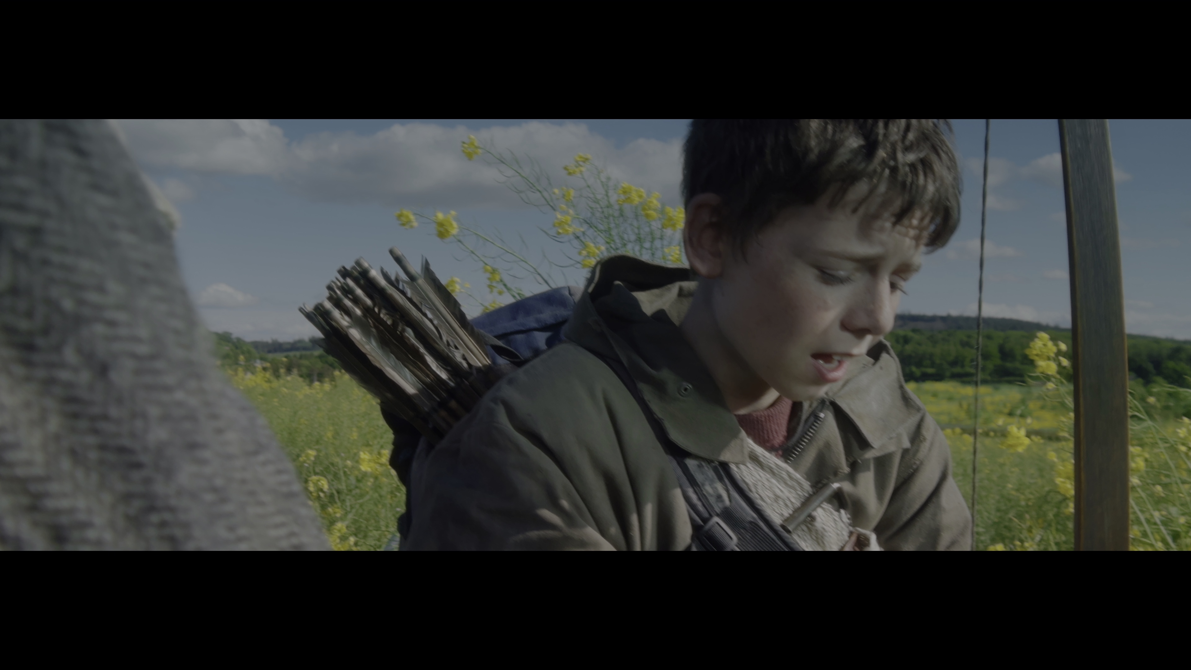 惊变28年 [中文字幕/特效字幕].2025.2160p.UHD.BluRay.REMUX.HEVC.DoVi.HDR.TrueHD7.1-DreamHD 58.29GB-5.png