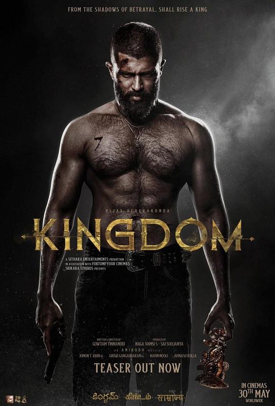 王国 [简繁英字幕].Kingdom.2025.2160p.NF.WEB-DL.DDP.5.1.HDR10.H.265-DreamHD 19.59GB-1.png