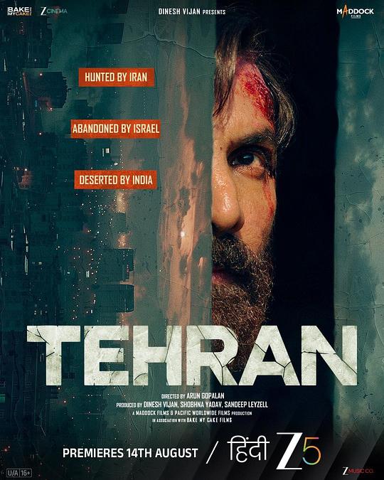 德黑兰 [简繁英字幕].Tehran.2025.2160p.NF.WEB-DL.DDP.5.1.H.265-DreamHD 15.06GB-1.png