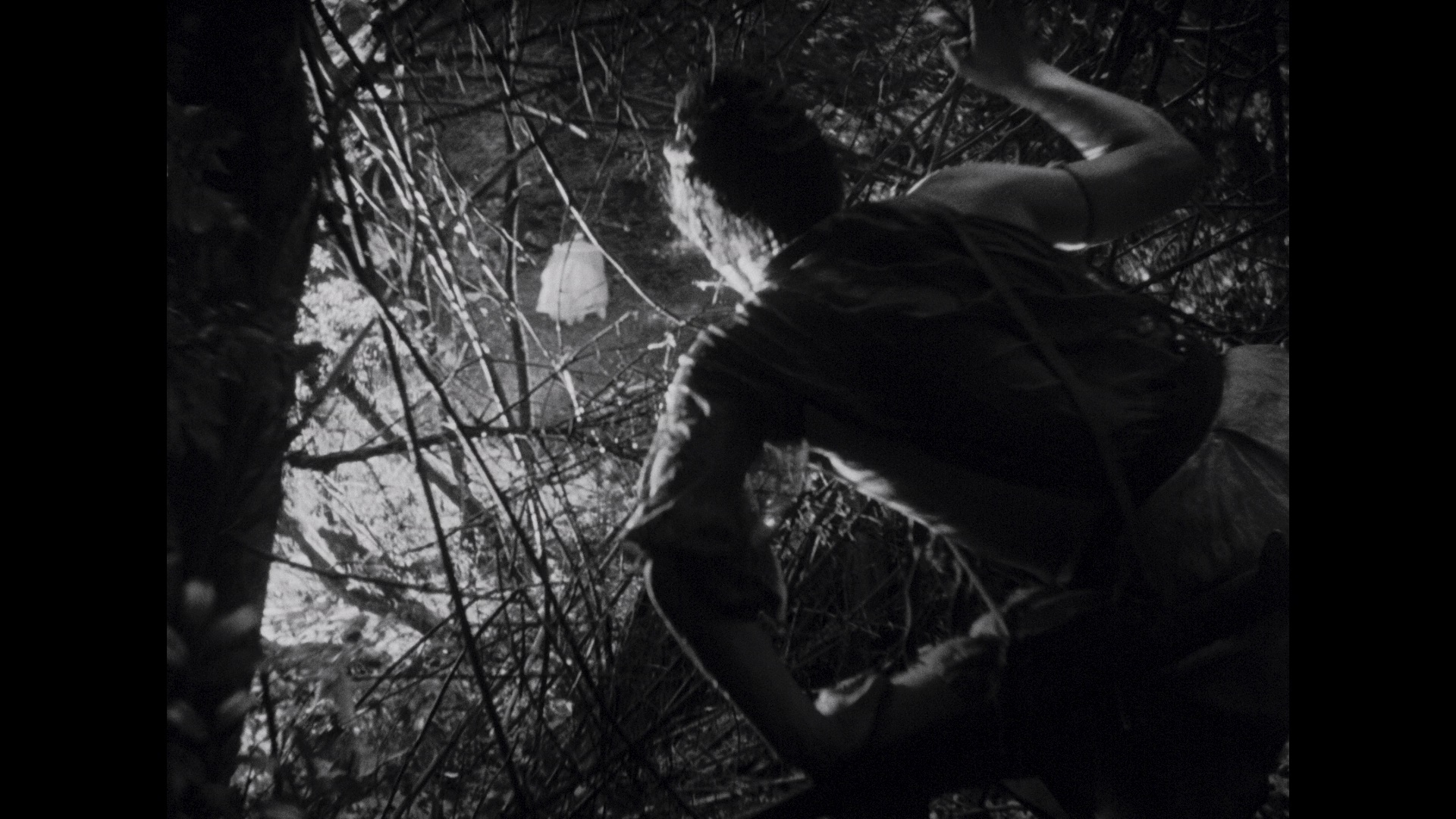 罗生门 [简繁英字幕].Rashomon.1950.Bluray.1080p.Remux.AVC.LPCM.2.0-DreamHD 24.45GB-3.png