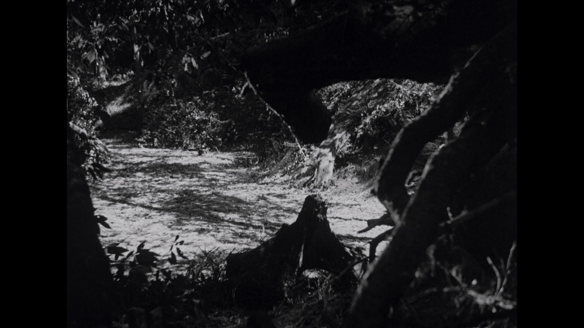 罗生门 [简繁英字幕].Rashomon.1950.Bluray.1080p.Remux.AVC.LPCM.2.0-DreamHD 24.45GB-7.png