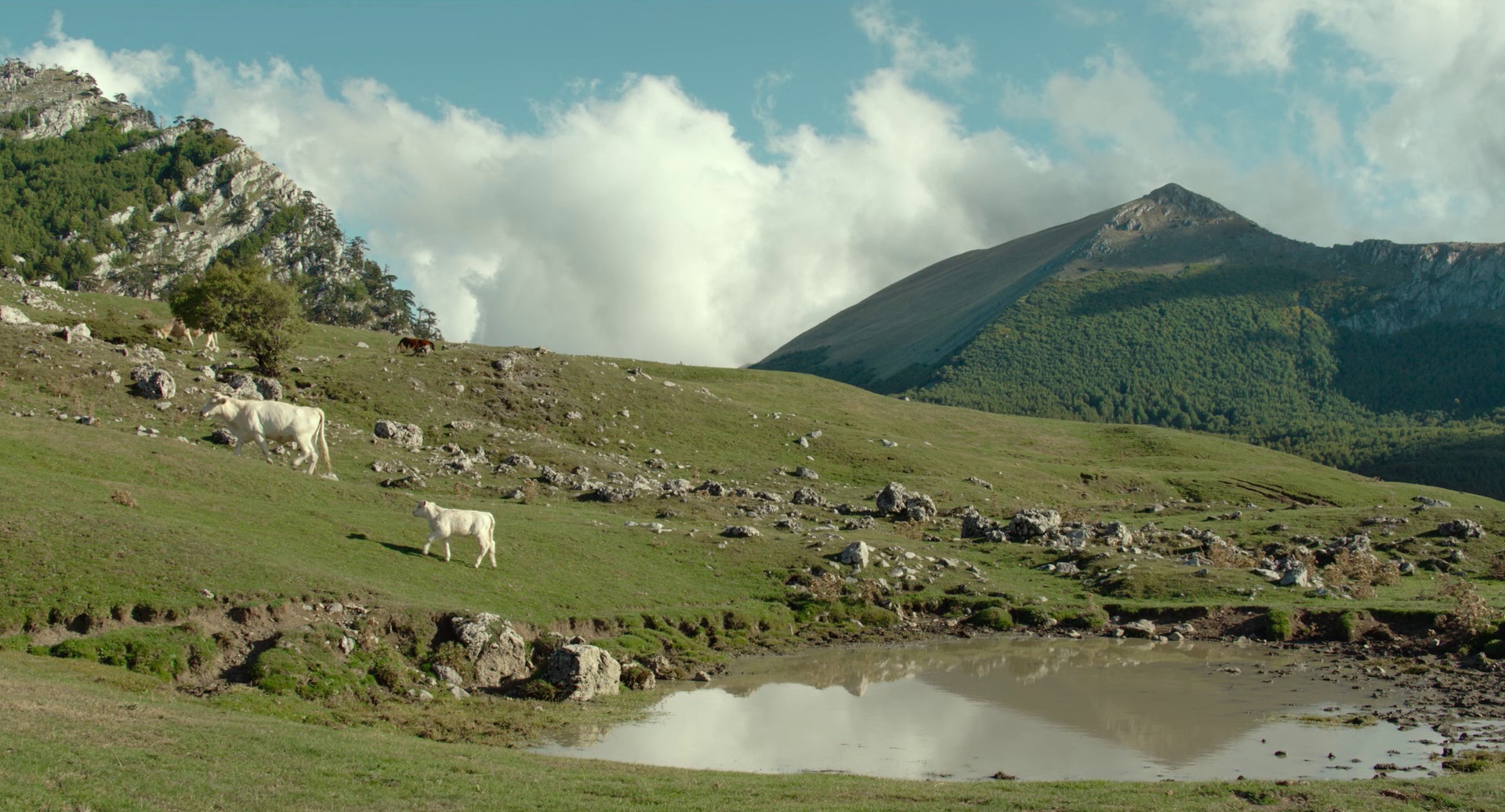 洞 [简繁英字幕].The.Hole.2021.1080p.BluRay.x264.DTS-QuickIO 7.91GB-2.png