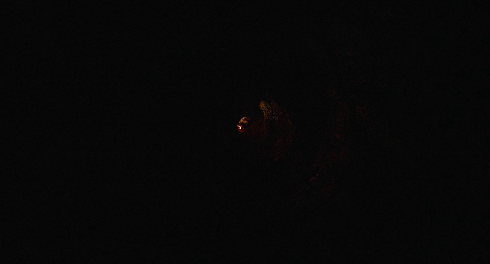 洞 [简繁英字幕].The.Hole.2021.1080p.BluRay.x264.DTS-QuickIO 7.91GB-4.png